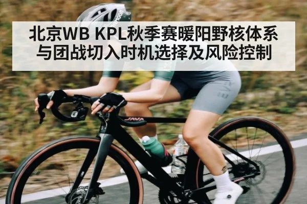 北京WB KPL秋季赛暖阳野核体系与团战切入时机选择及风险控制